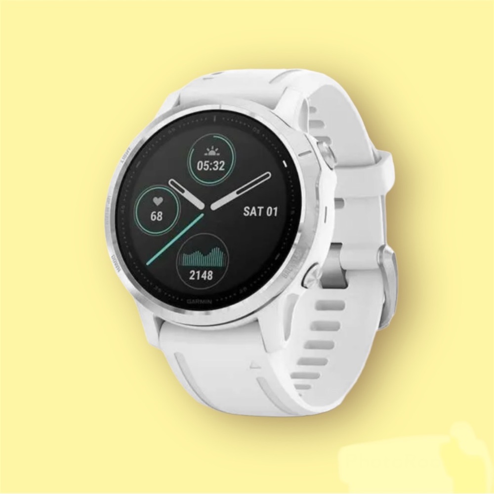 Garmin Fenix 6S Multisport GPS Watch - White
